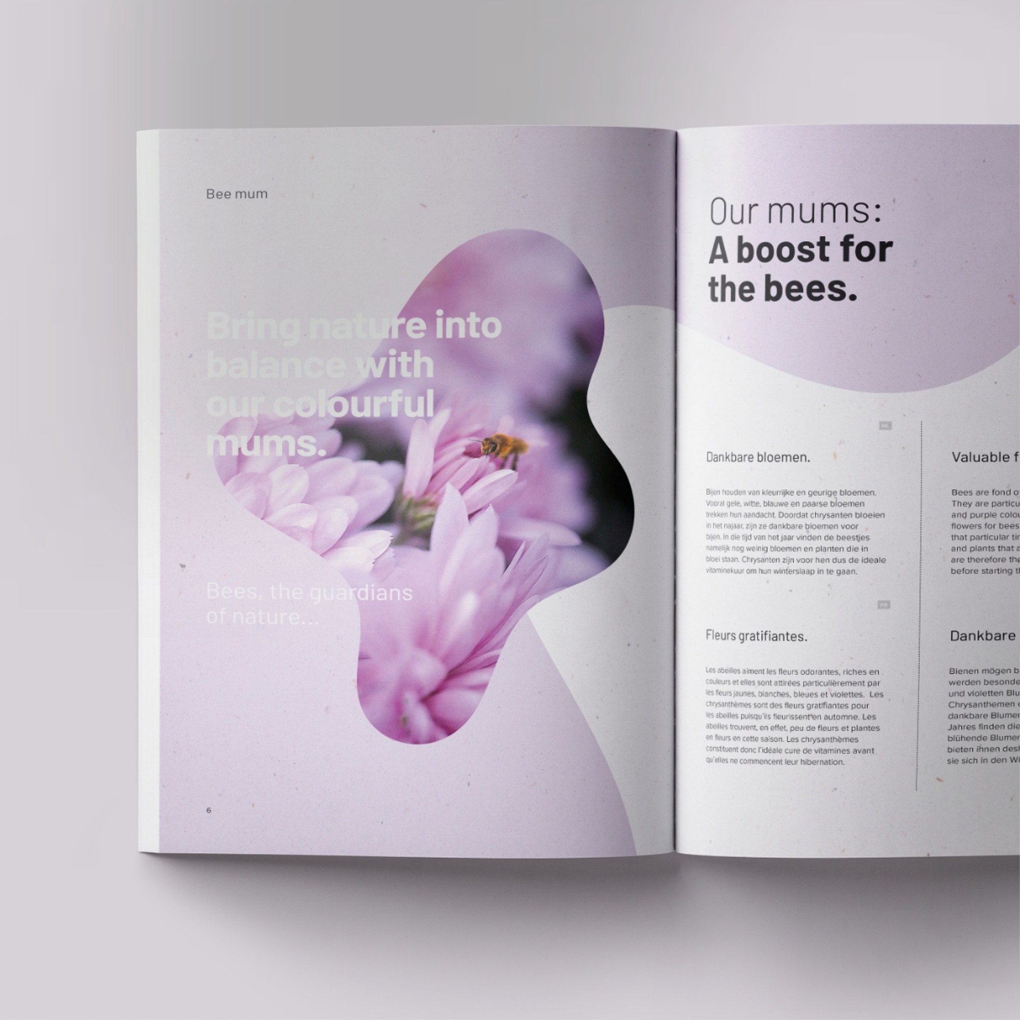 brochures
