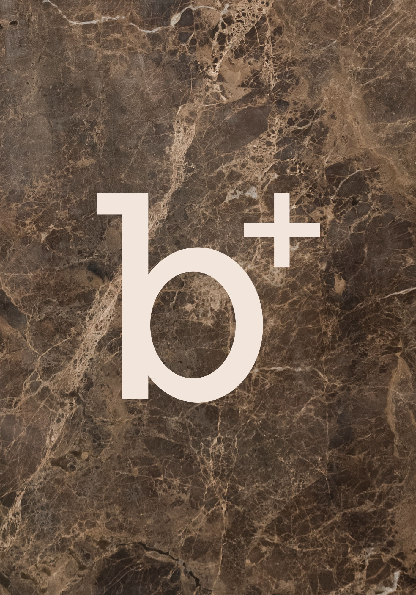 logo & huisstijl