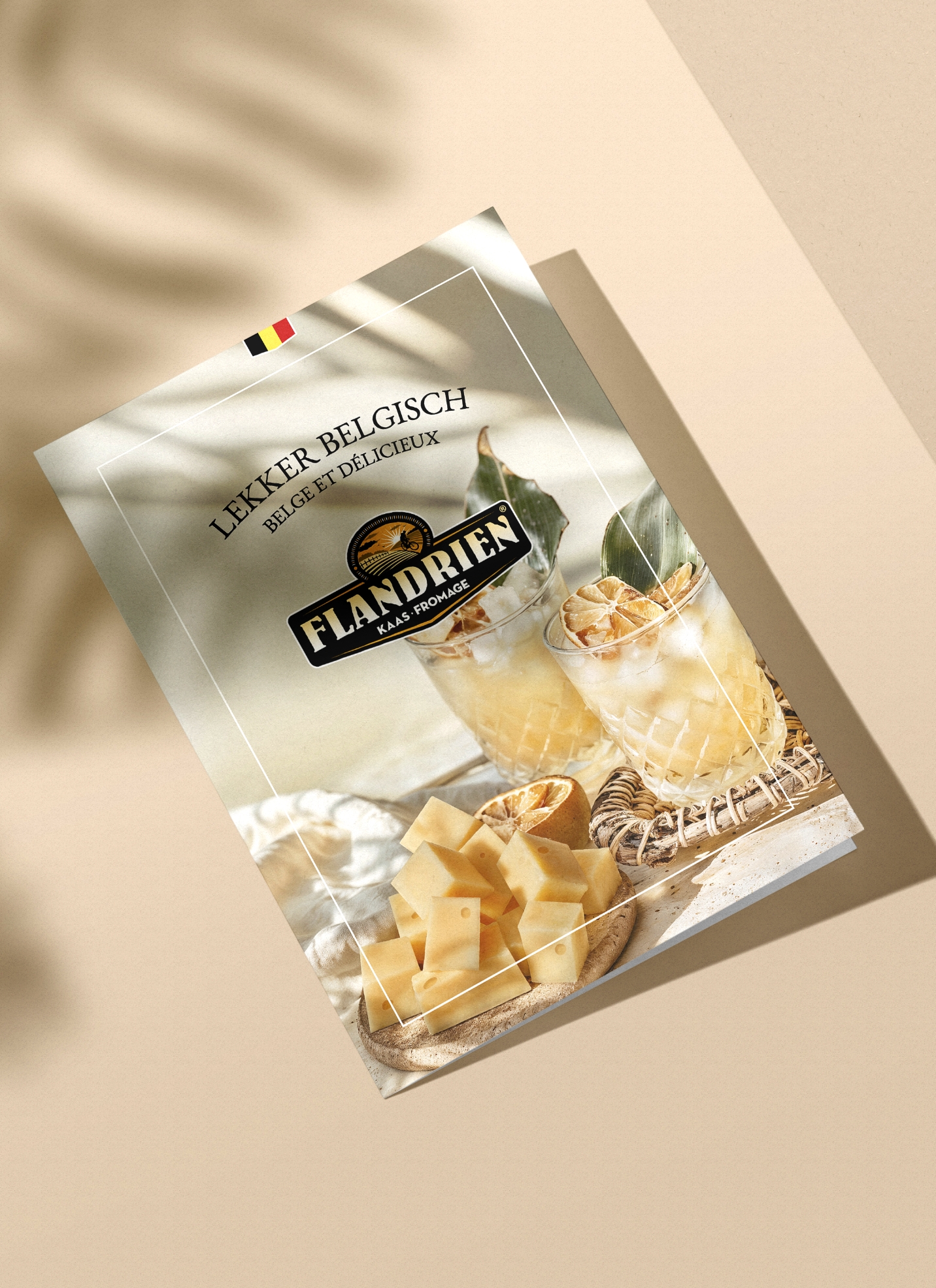 flandrien kaas - apero