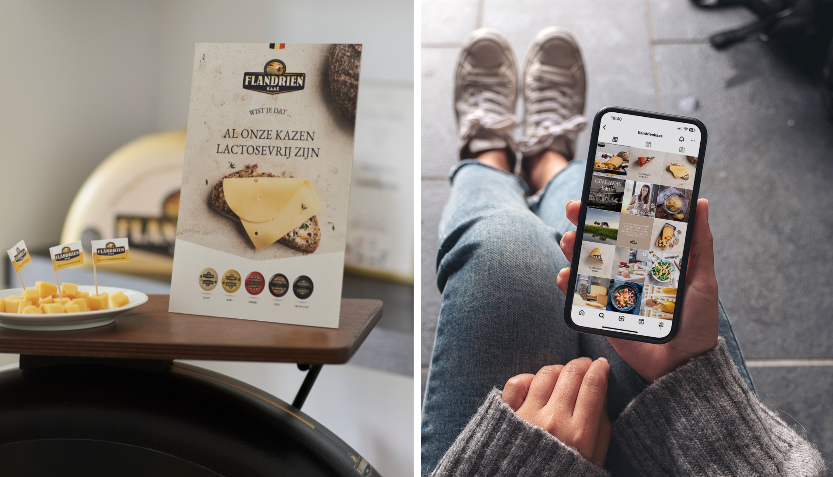 flandrien kaas - lactosevrij