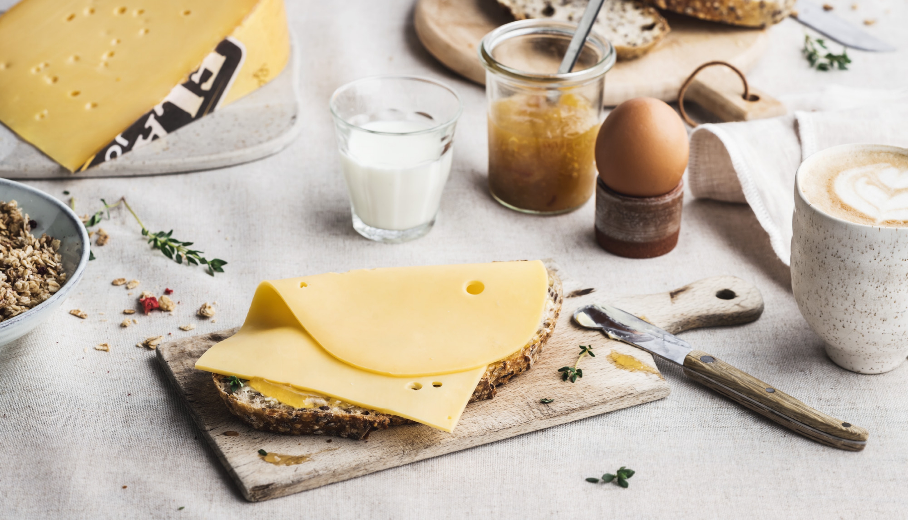 flandrien kaas - lactose