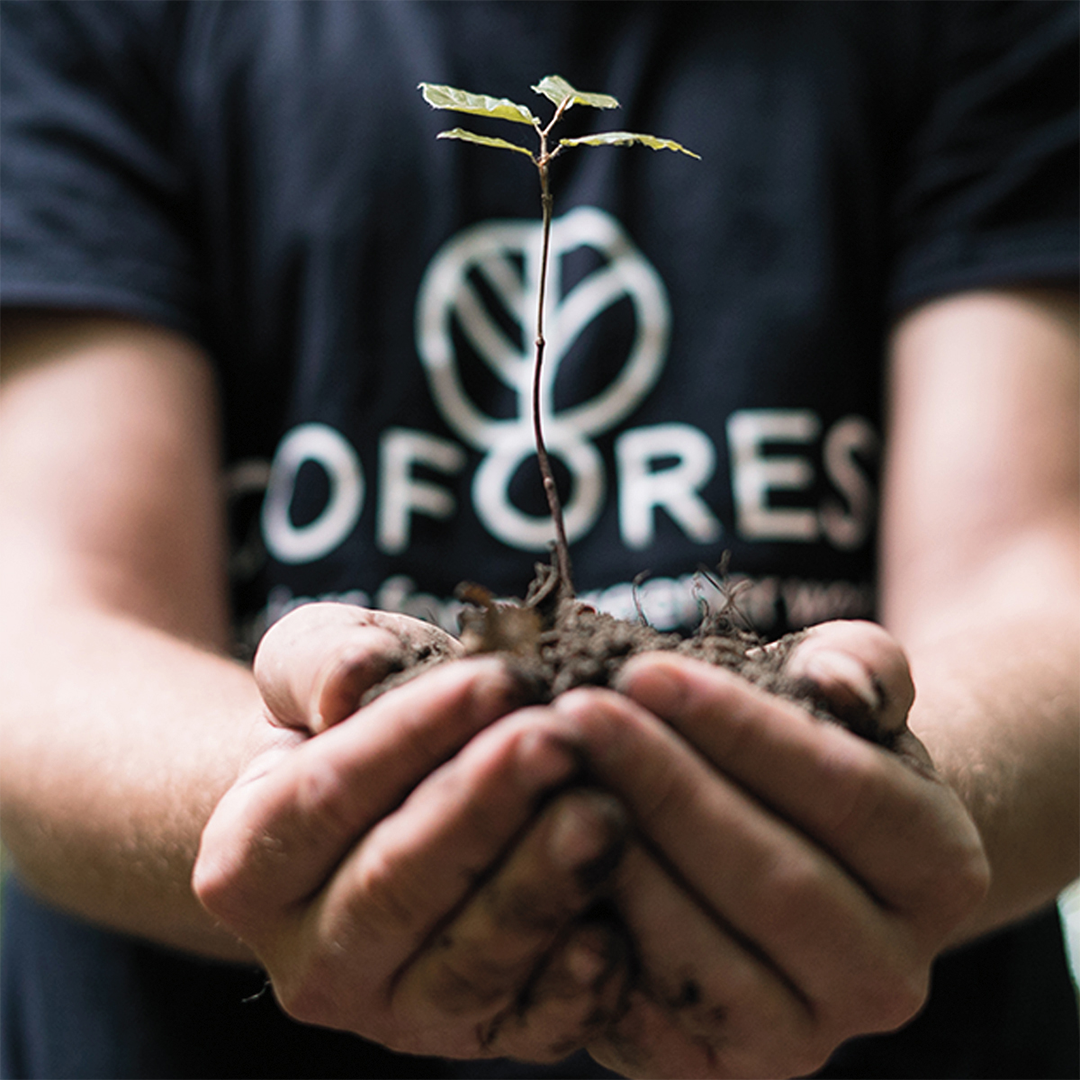 go forest: sarah parent