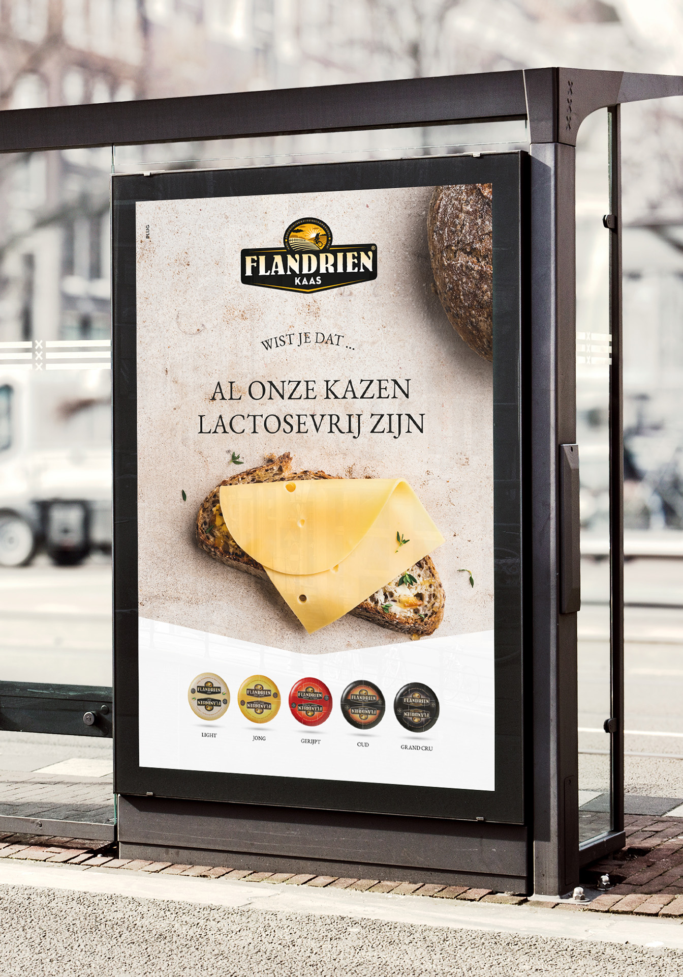 marketing