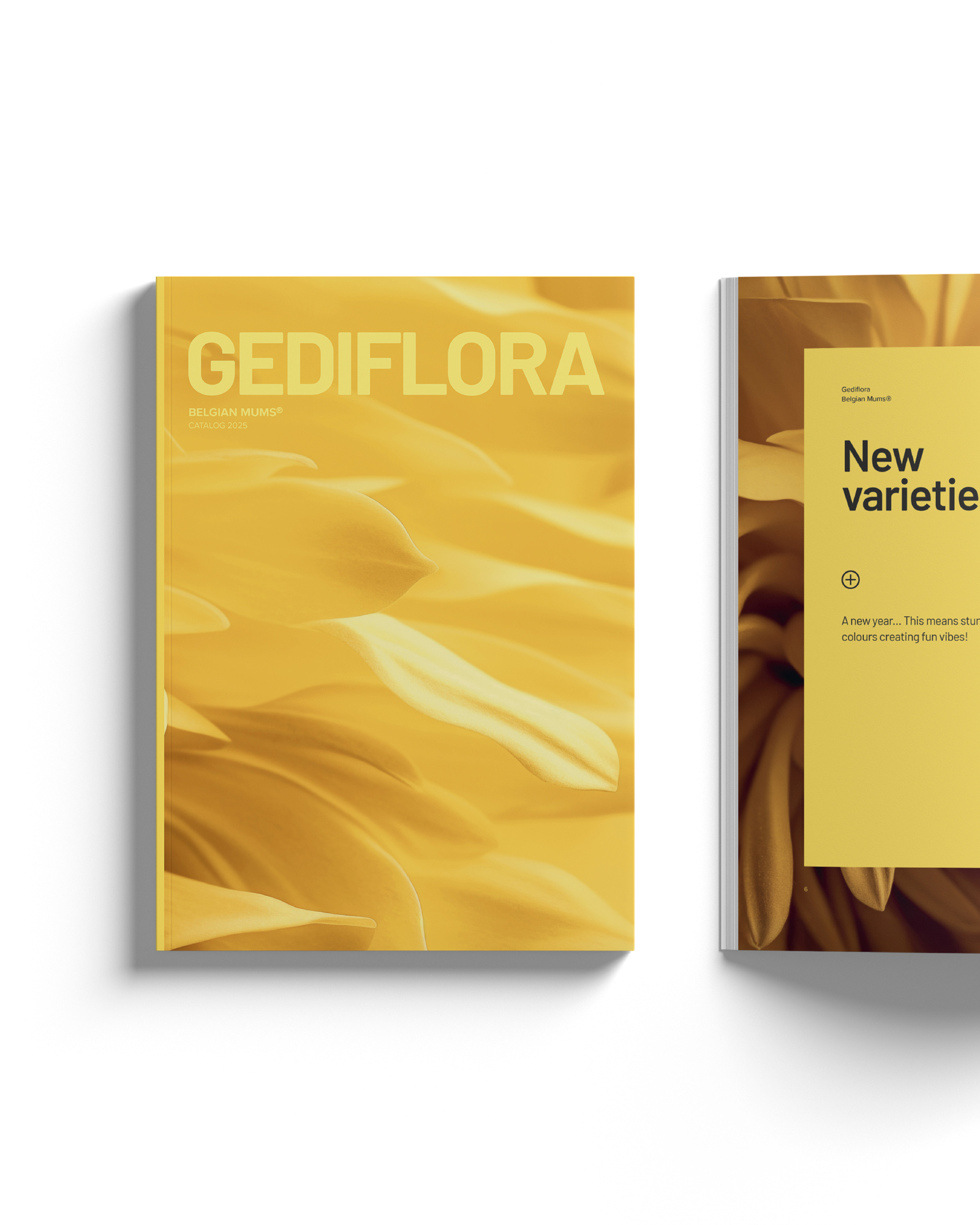 Projectmap/bedrijfsmap