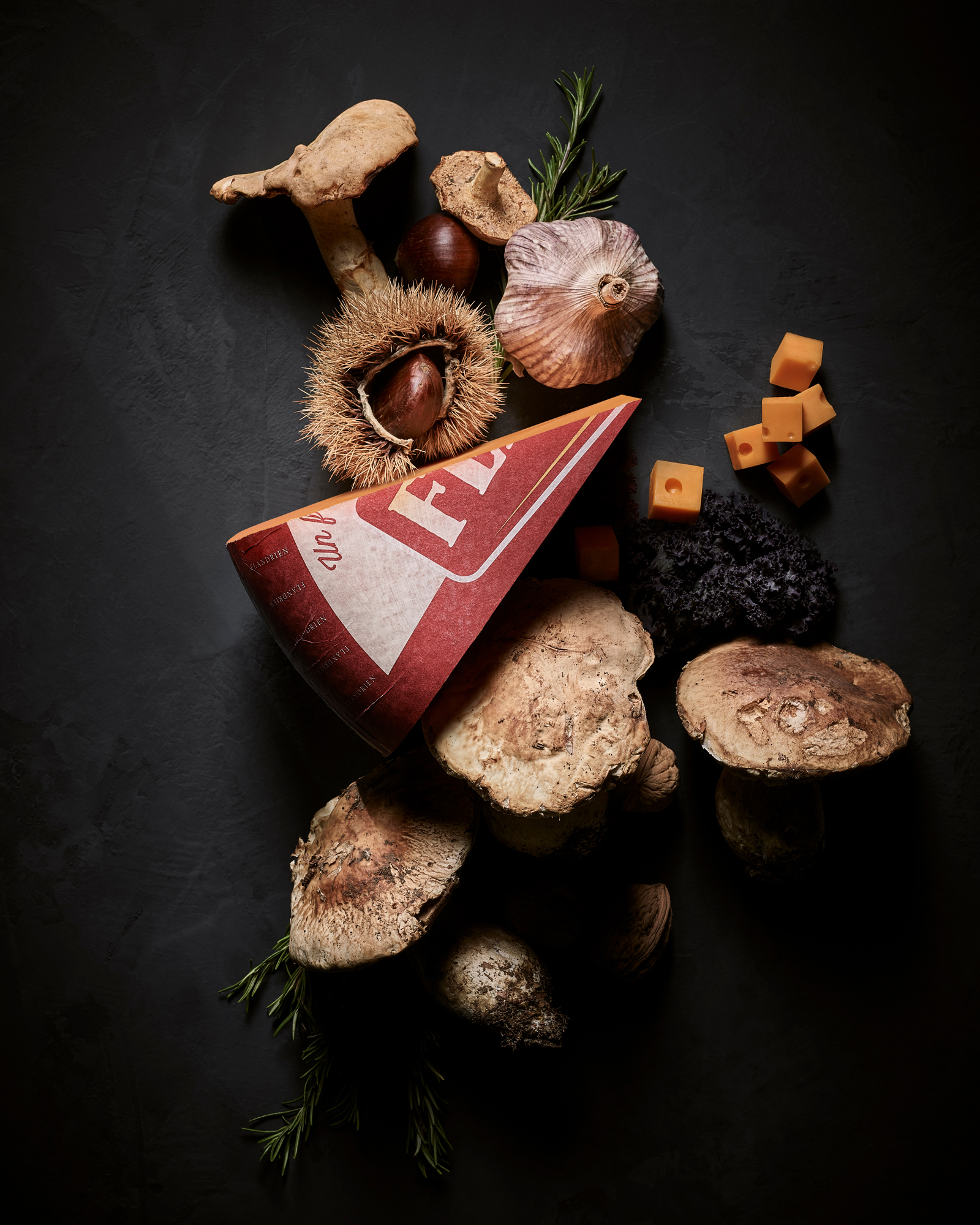 Creatie en ontwerp campagne