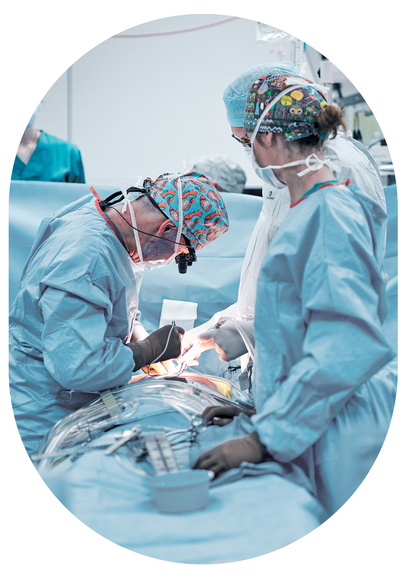 AZ Delta - Cardiovasculair