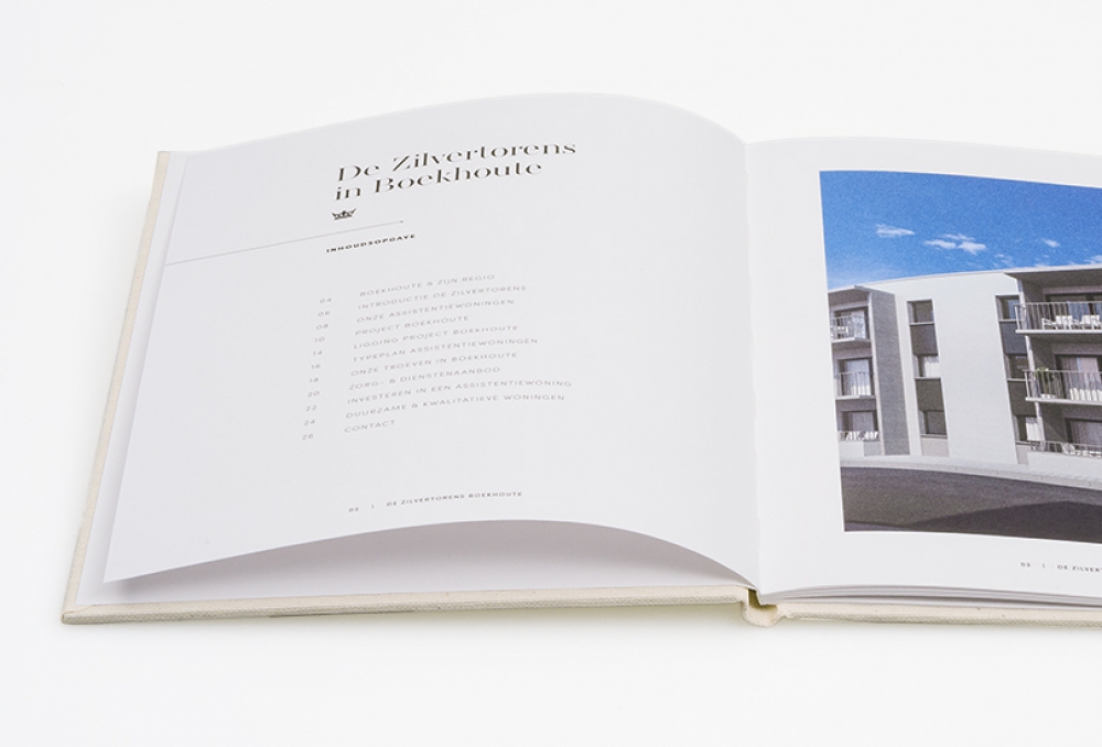 De Zilvertorens - Boekhoute