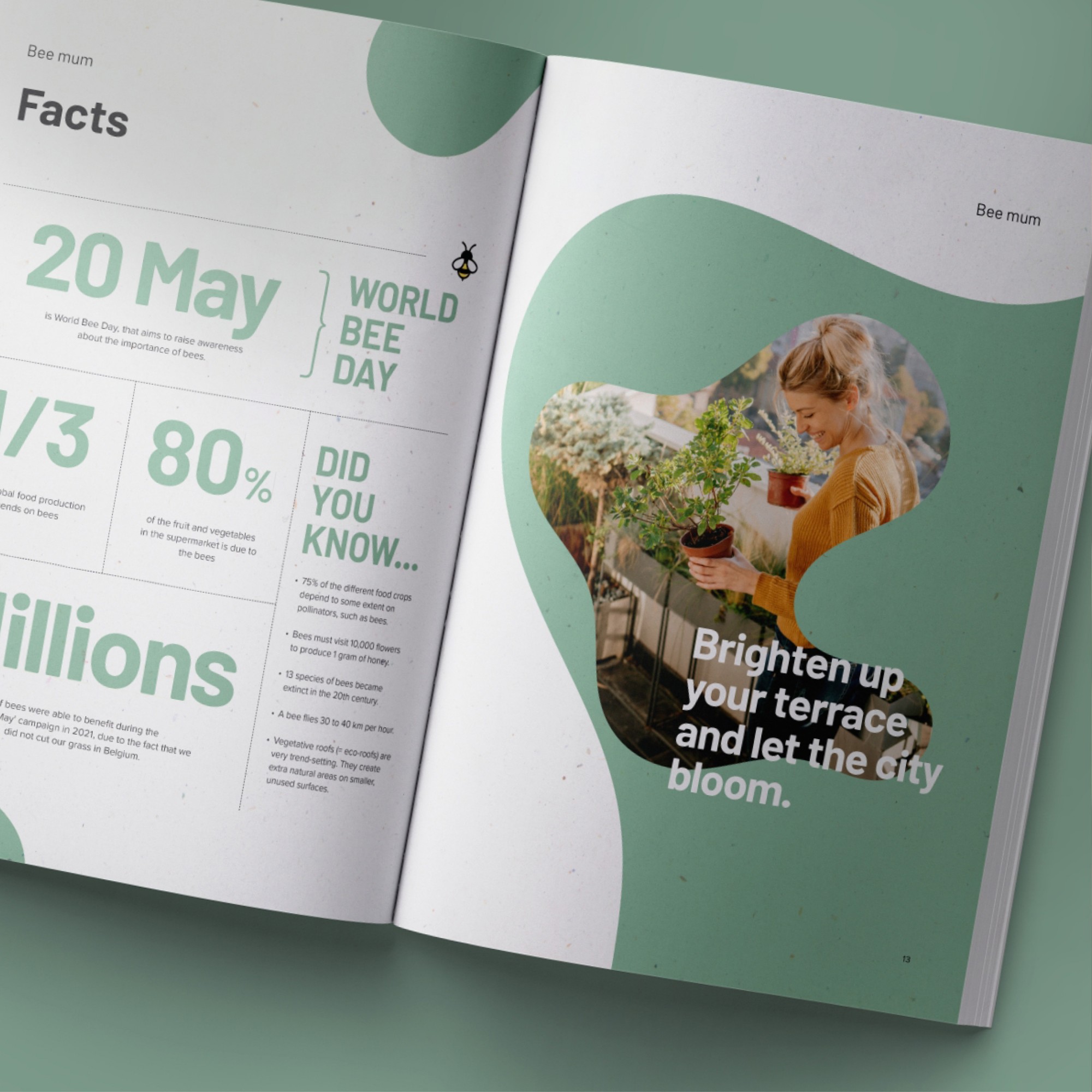 Gediflora Catalogus 2022