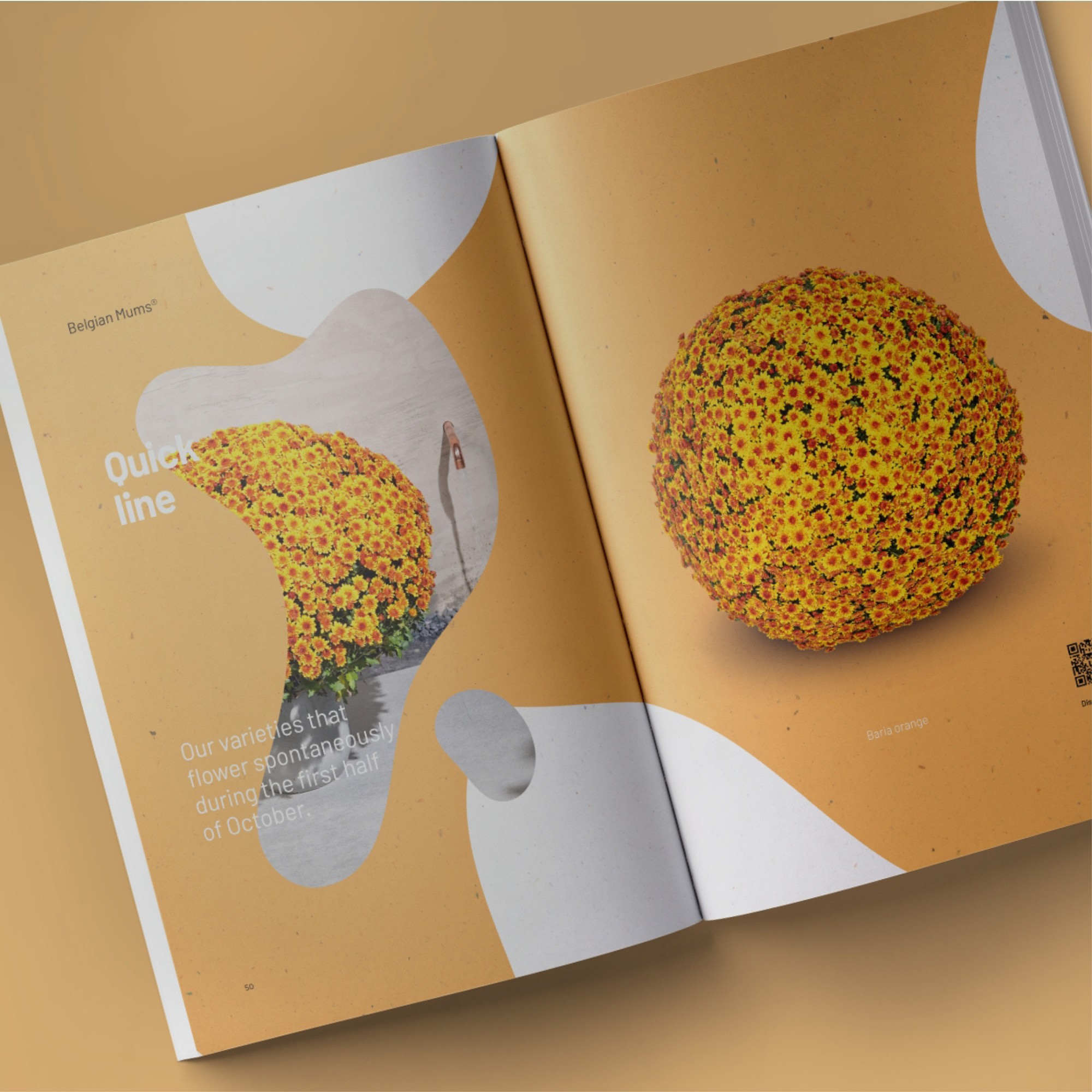 Gediflora Catalogus 2022