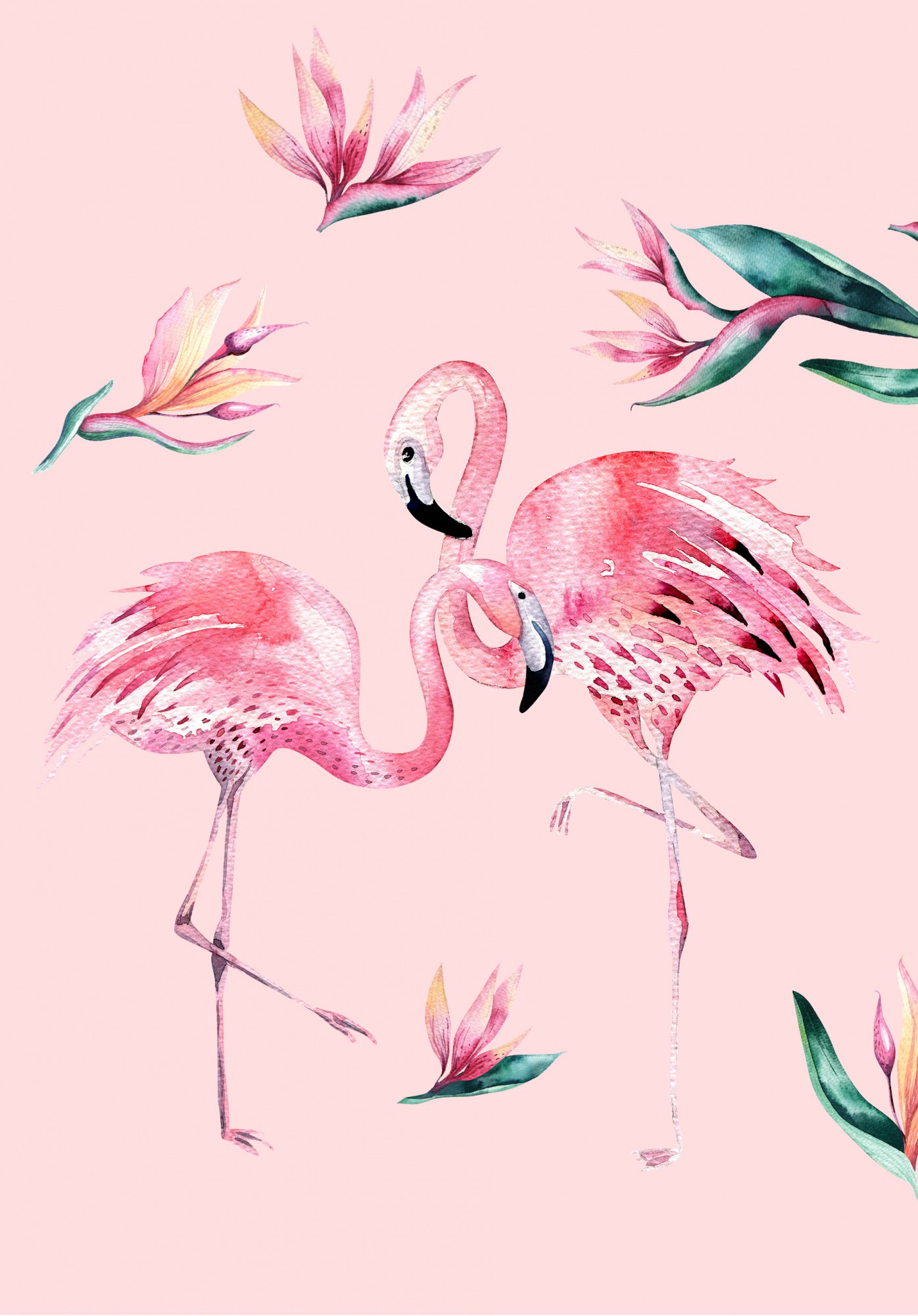 Hasselt Millésime - MVSA