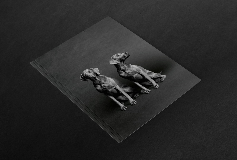 Interior by Cornelis