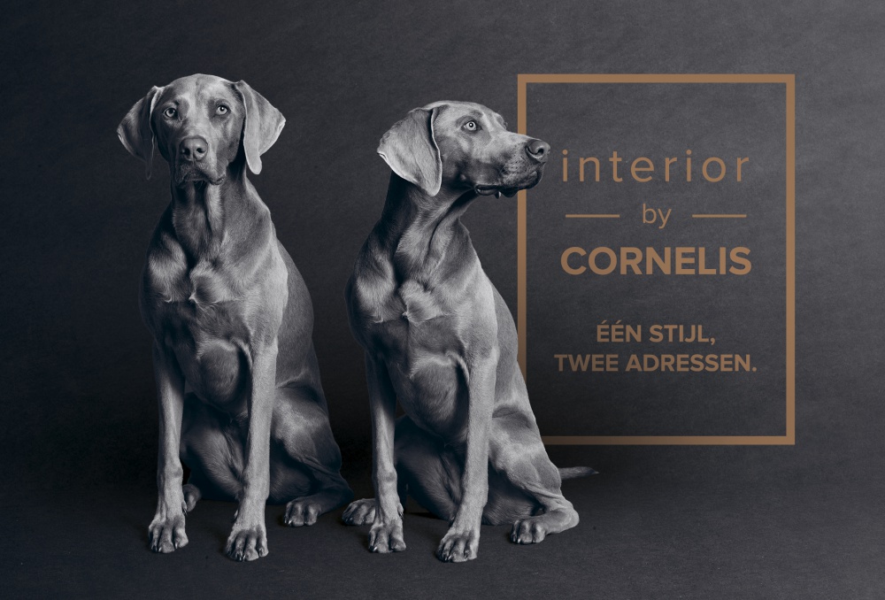 Interior by Cornelis