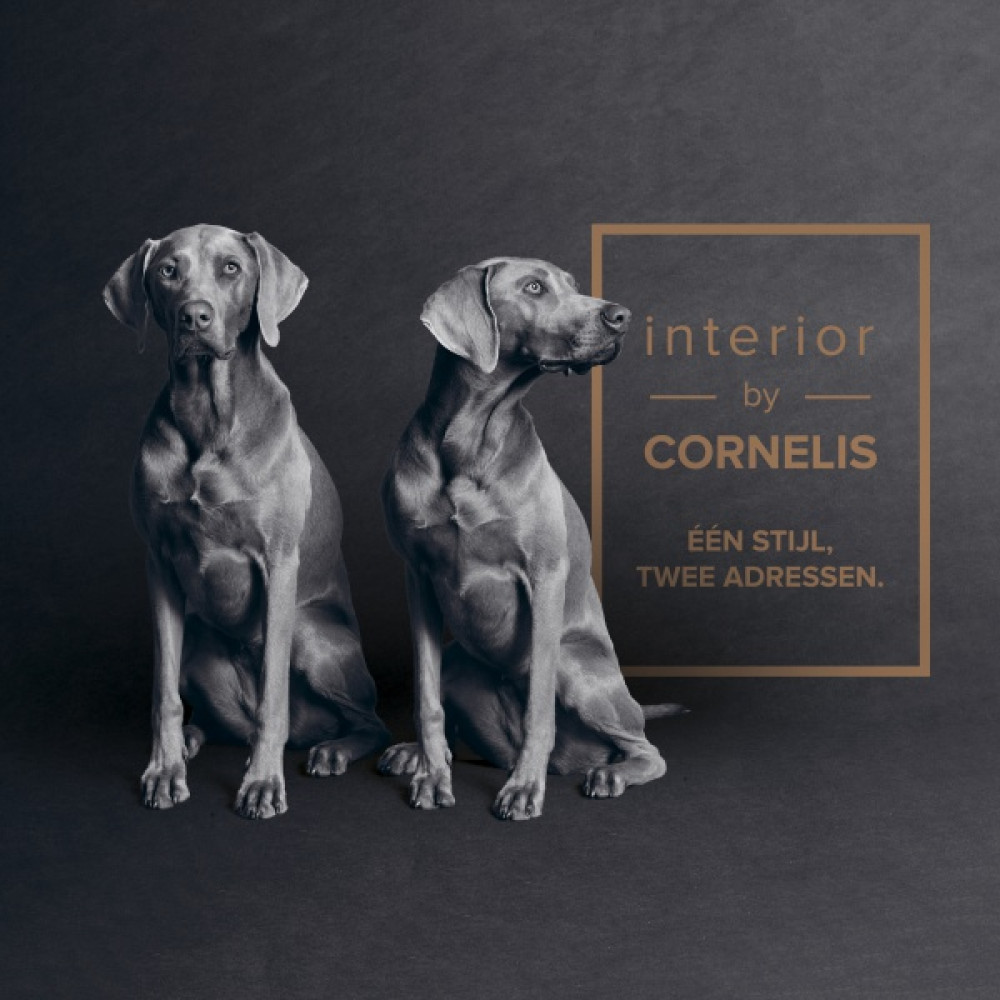 Interior by Cornelis