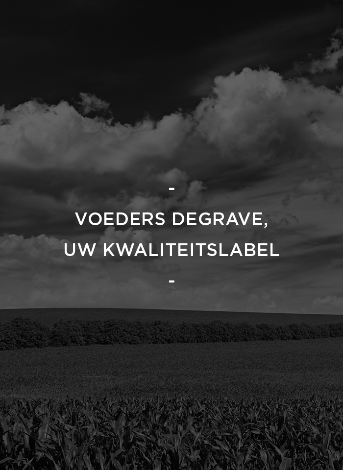 Voeders Degrave